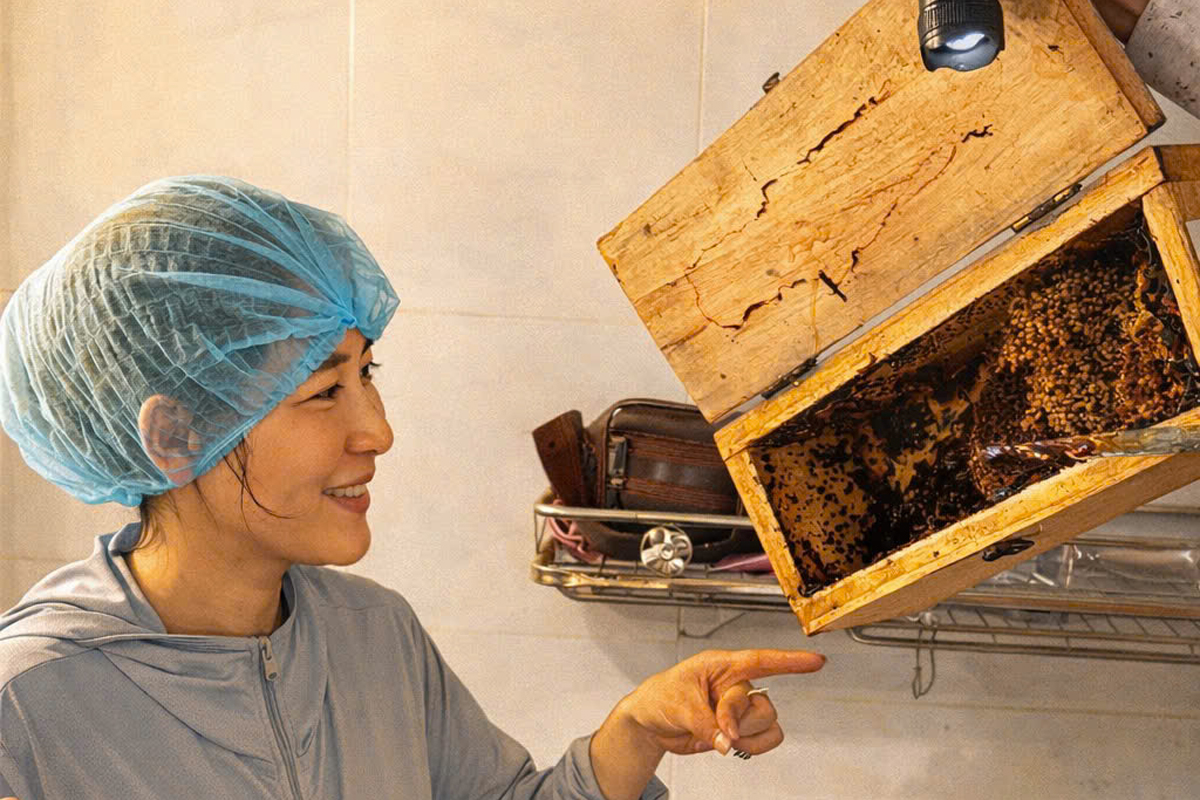 Honey extraction process