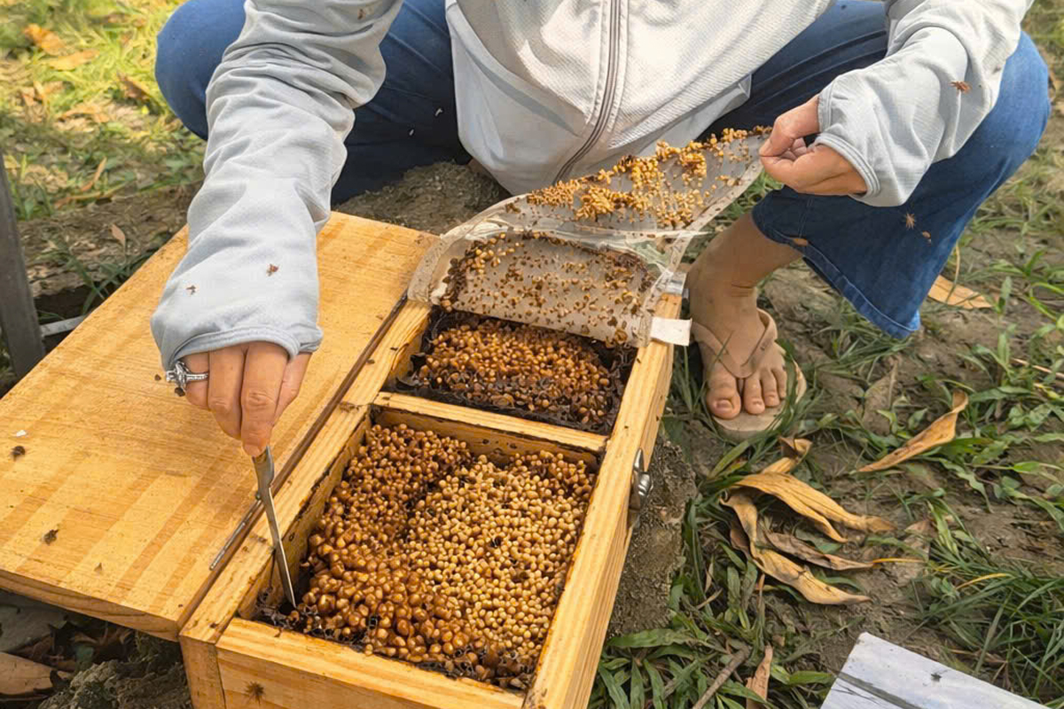 Packaging and preparation